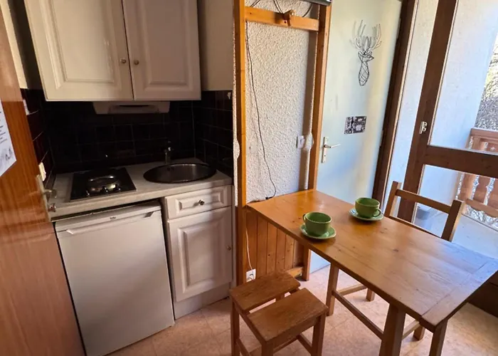 Studette Avec Balcon Parking Et Casier A 2 Min Du Jandri 3s Aux 2 Alpes *